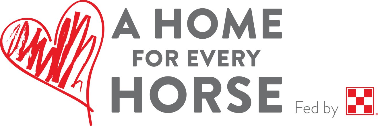 A Home for Every Horse